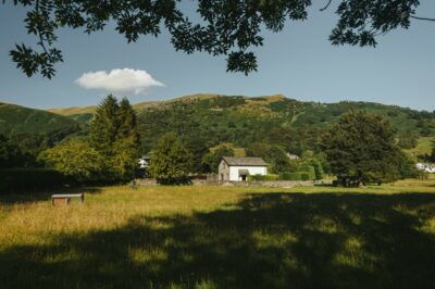 Plot Search (Home) image